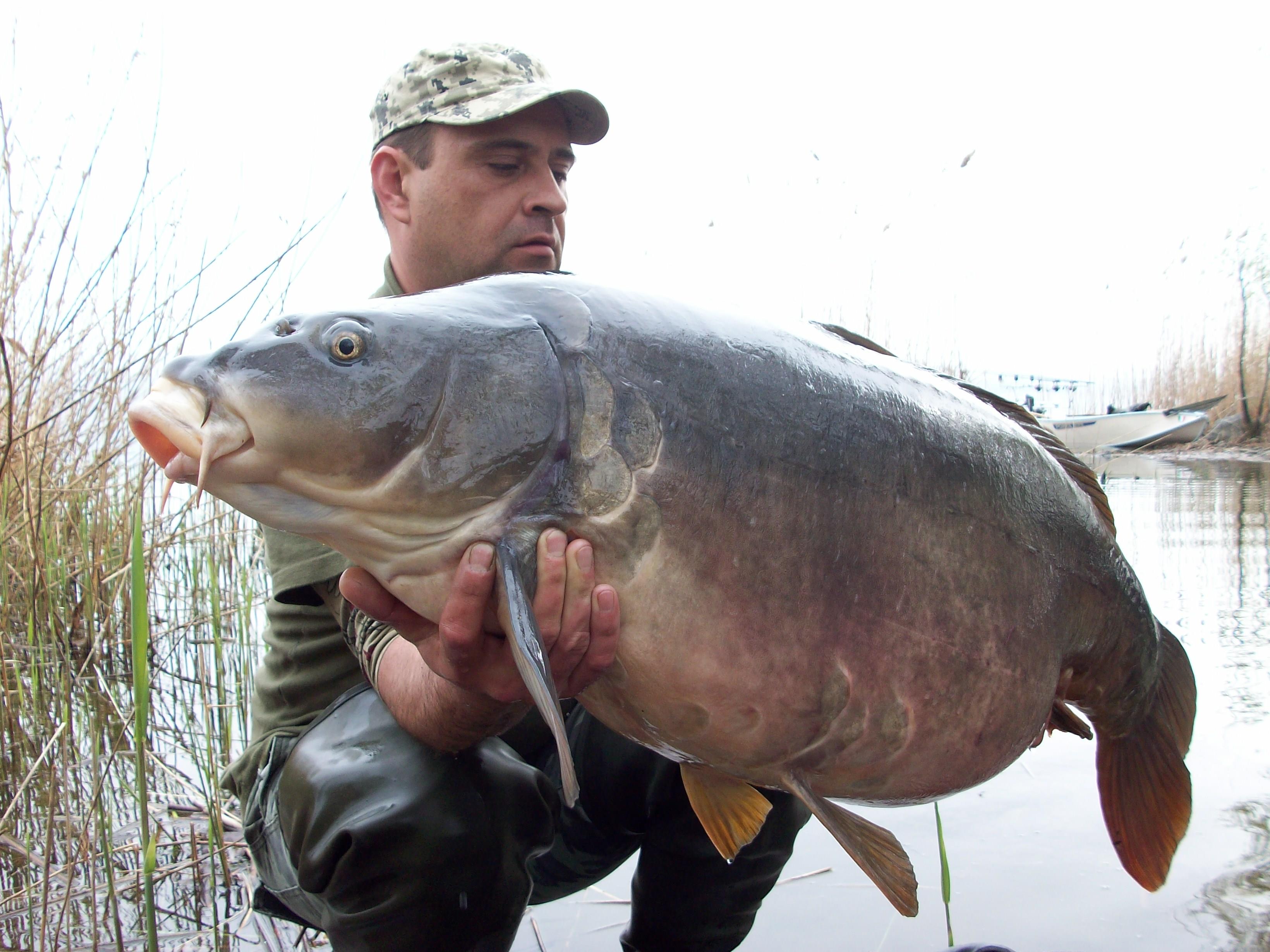 Carpfishing - 25,3kg.JPG